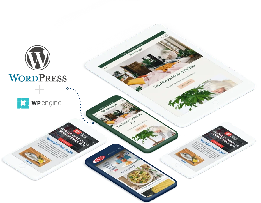 WordPress   开发 - 星空·体育